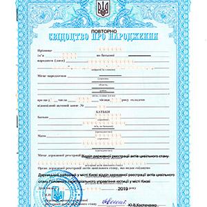 Надо было истребовать заново документ, зарегистрированный в Донецке, и поставить на него апостиль. Мы сделали это!